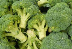 ブロッコリー