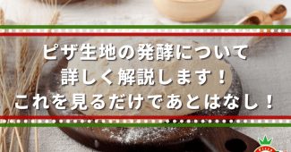 ピザ生地の発酵について詳しく解説します！これを見るだけであとはなし！