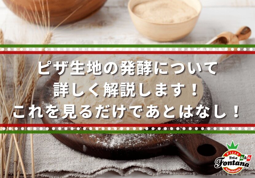 ピザ生地の発酵について詳しく解説します！これを見るだけであとはなし！