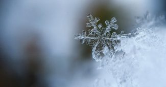 雪の結晶