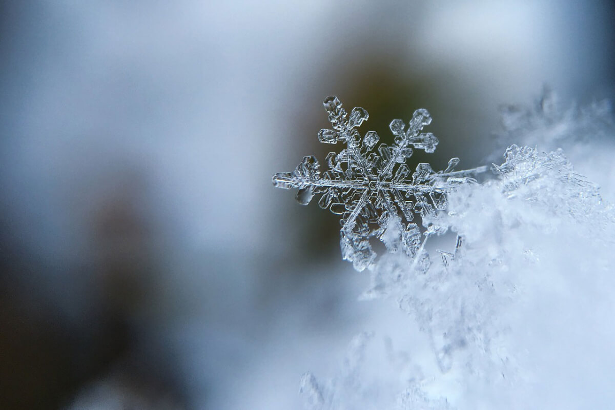 雪の結晶