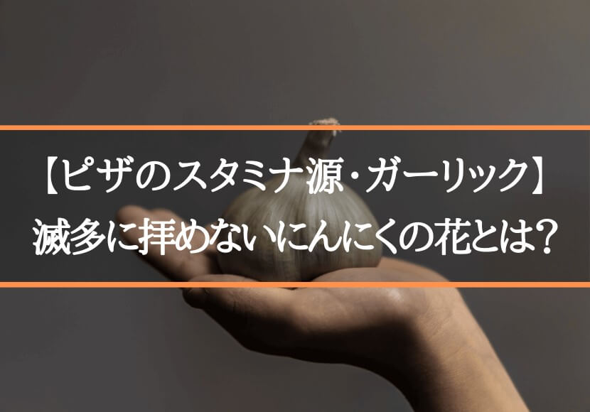 【ピザのスタミナ源・ガーリック】滅多に拝めないにんにくの花とは？