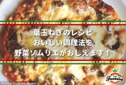 葉玉ねぎのレシピ