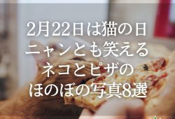 2月22日は猫の日！ニャンとも笑えるネコとピザのほのぼの写真8選