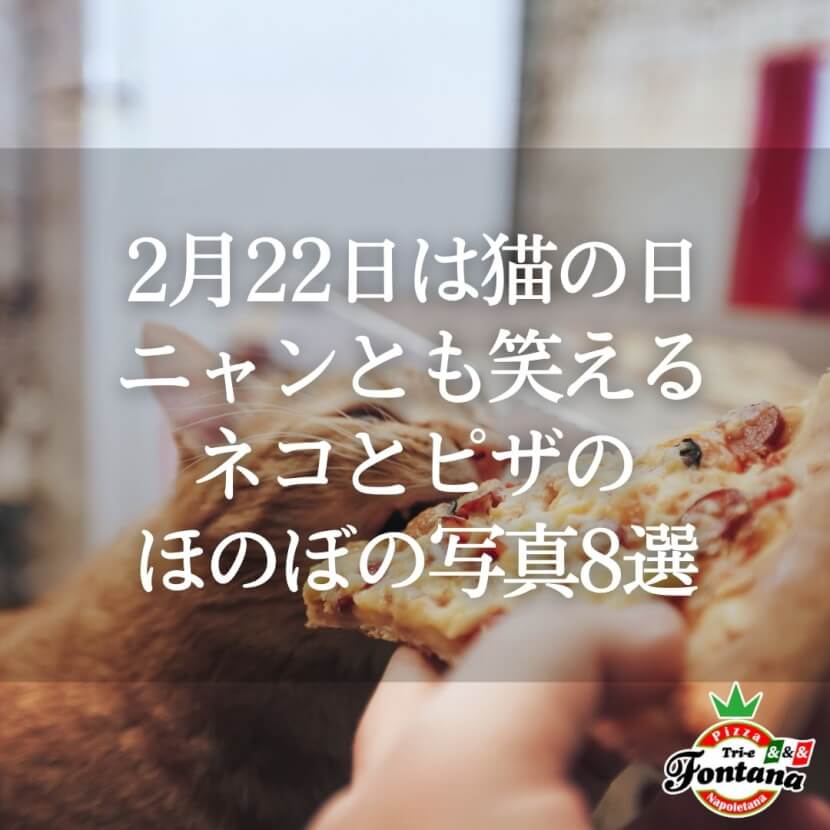 2月22日は猫の日！ニャンとも笑えるネコとピザのほのぼの写真8選